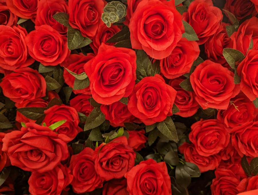 Trauma Bonding: Why It Feels Like Love, and Why It Is Not