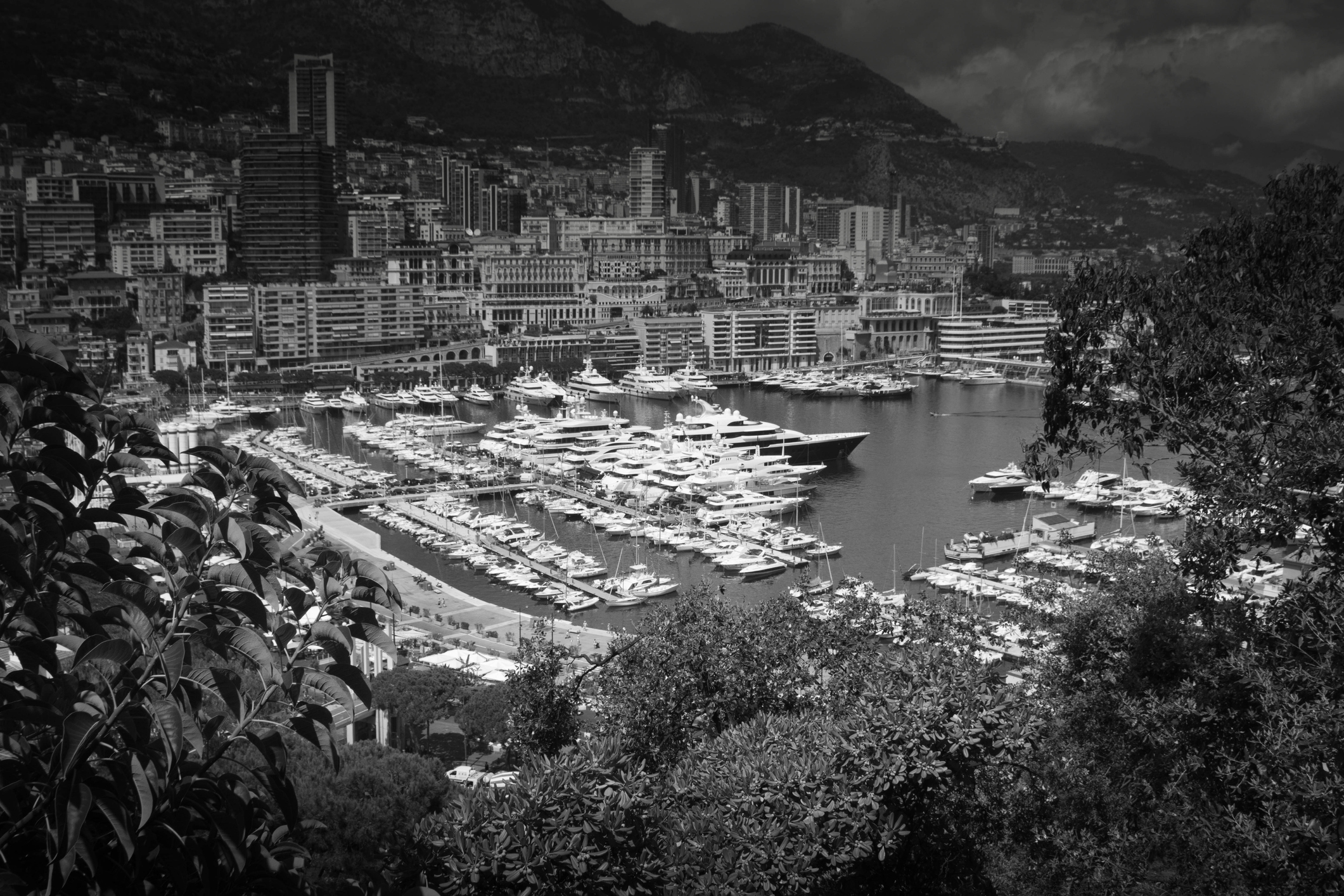 Services in Monaco